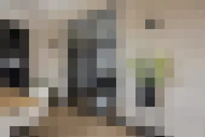 Hoge Akkerweg 8 Sprang-Capelle thumbnail 18