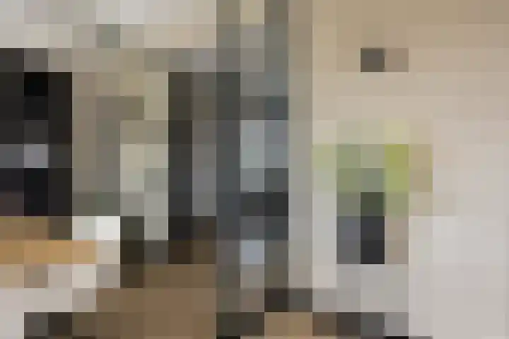 Hoge Akkerweg 8 Sprang-Capelle thumbnail 19