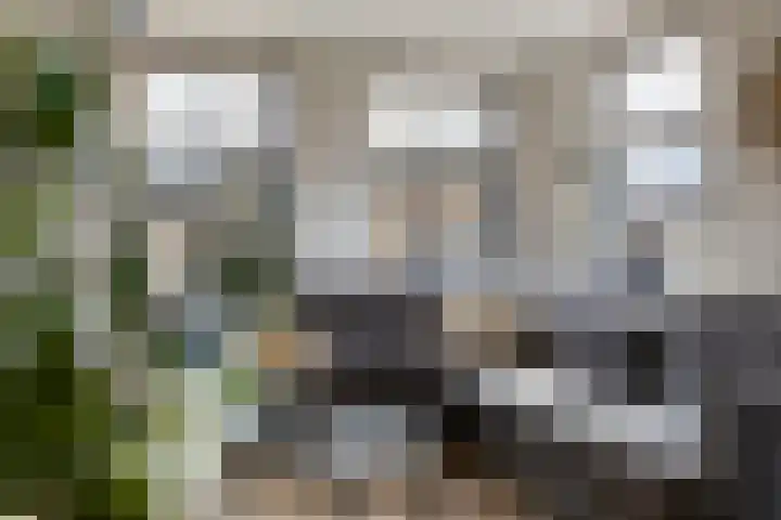 Hoge Akkerweg 8 Sprang-Capelle thumbnail 21
