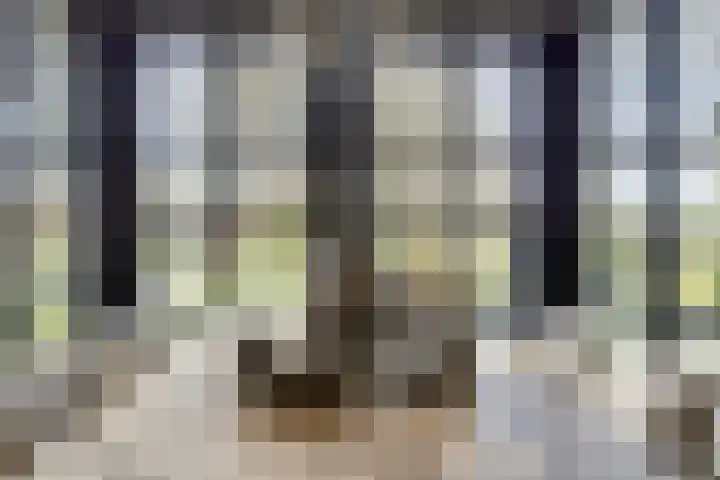 Hoge Akkerweg 8 Sprang-Capelle thumbnail 22