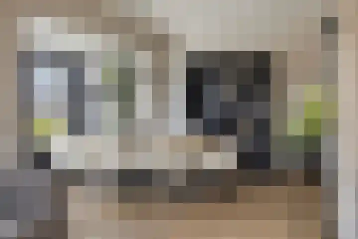 Hoge Akkerweg 8 Sprang-Capelle thumbnail 23
