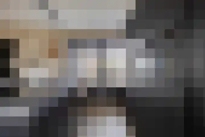 Hoge Akkerweg 8 Sprang-Capelle thumbnail 26