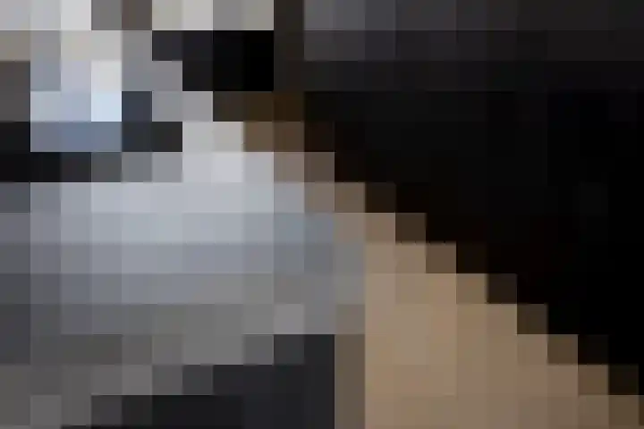 Hoge Akkerweg 8 Sprang-Capelle thumbnail 27