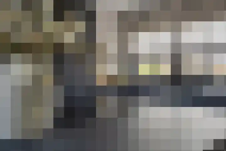 Hoge Akkerweg 8 Sprang-Capelle thumbnail 30