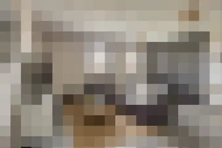 Hoge Akkerweg 8 Sprang-Capelle thumbnail 31