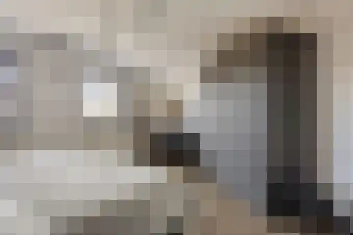 Hoge Akkerweg 8 Sprang-Capelle thumbnail 36