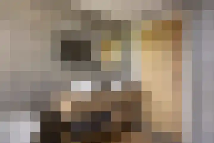 Hoge Akkerweg 8 Sprang-Capelle thumbnail 37