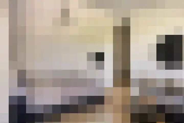 Hoge Akkerweg 8 Sprang-Capelle thumbnail 39
