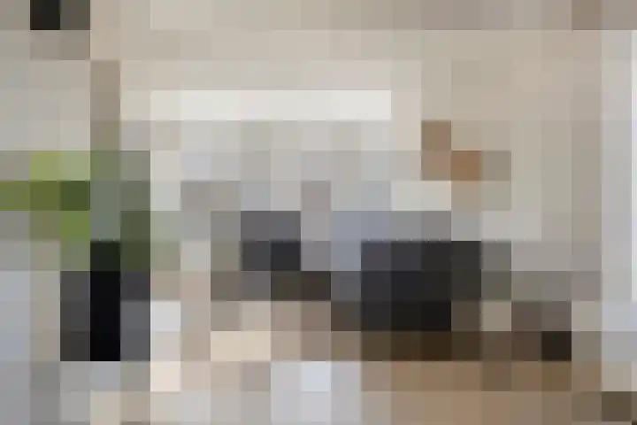 Hoge Akkerweg 8 Sprang-Capelle thumbnail 4