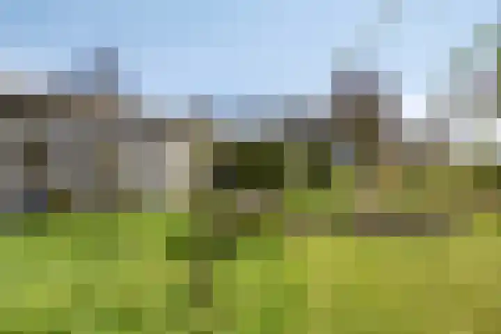 Hoge Akkerweg 8 Sprang-Capelle thumbnail 48