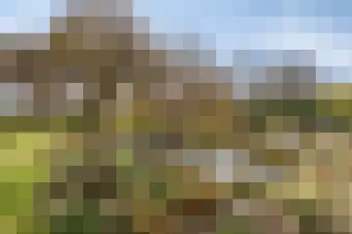 Hoge Akkerweg 8 Sprang-Capelle thumbnail 50