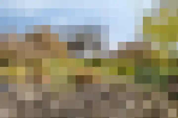 Hoge Akkerweg 8 Sprang-Capelle thumbnail 51