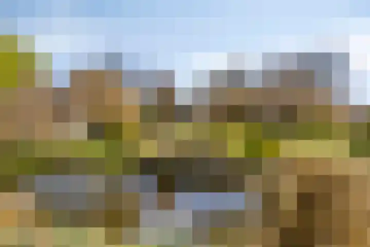 Hoge Akkerweg 8 Sprang-Capelle thumbnail 52