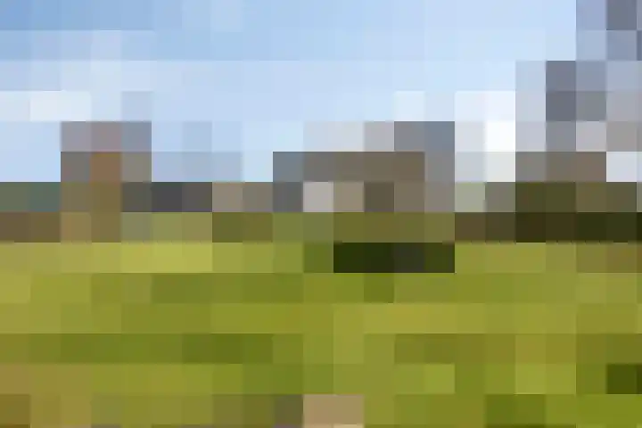 Hoge Akkerweg 8 Sprang-Capelle thumbnail 53