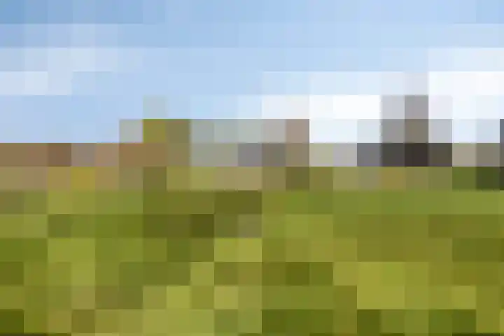 Hoge Akkerweg 8 Sprang-Capelle thumbnail 54
