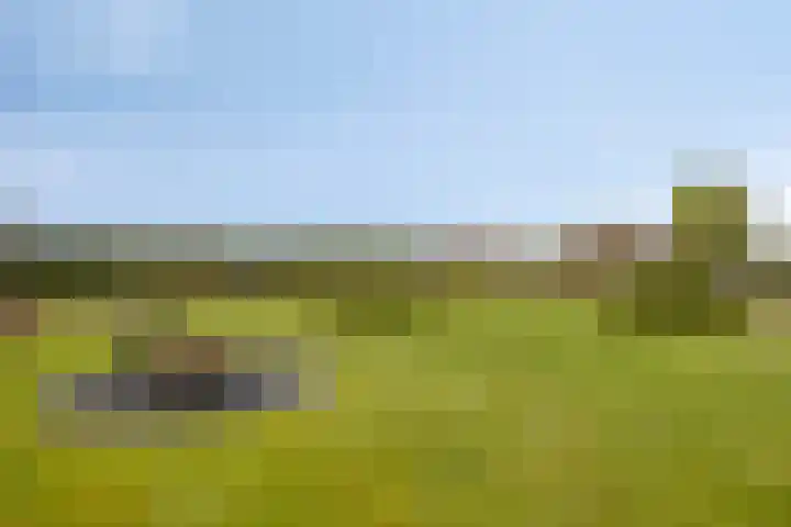 Hoge Akkerweg 8 Sprang-Capelle thumbnail 55