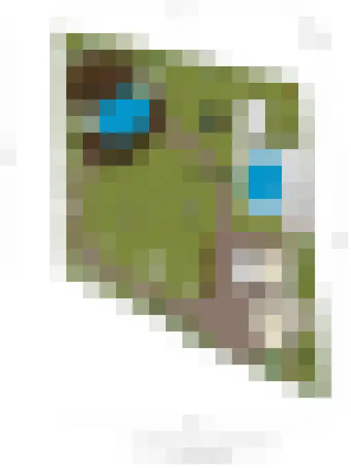 Hoge Akkerweg 8 Sprang-Capelle thumbnail 56