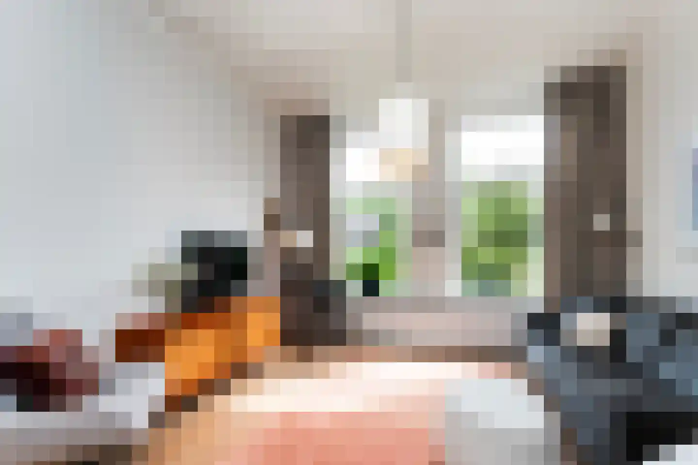 Hoge Bakstraat 10 Dordrecht thumbnail 10