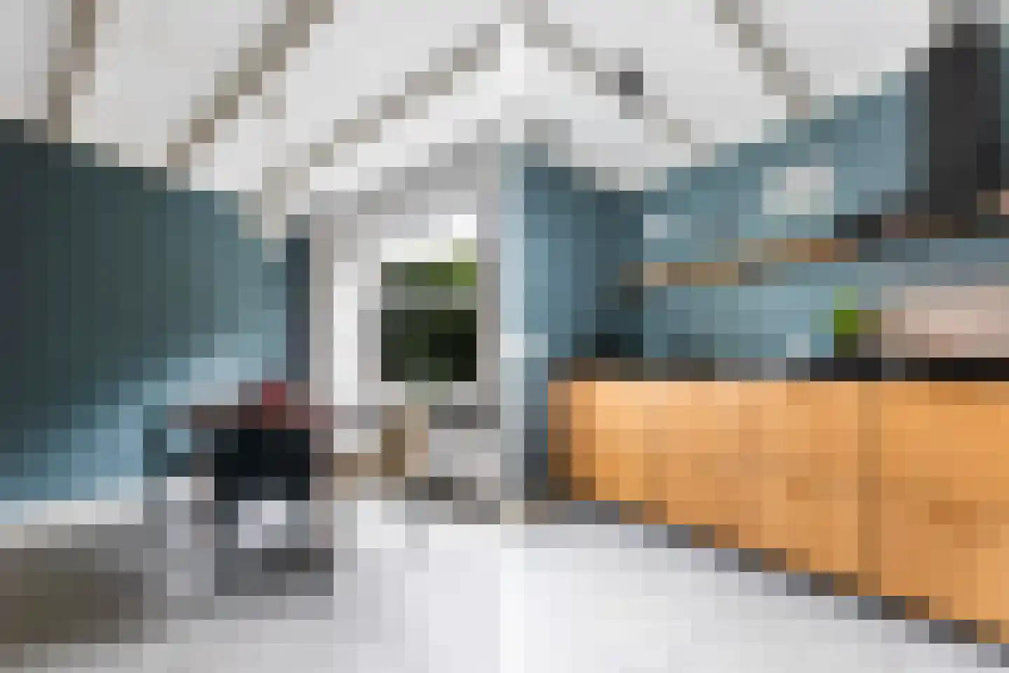 Hoge Bakstraat 10 Dordrecht thumbnail 19