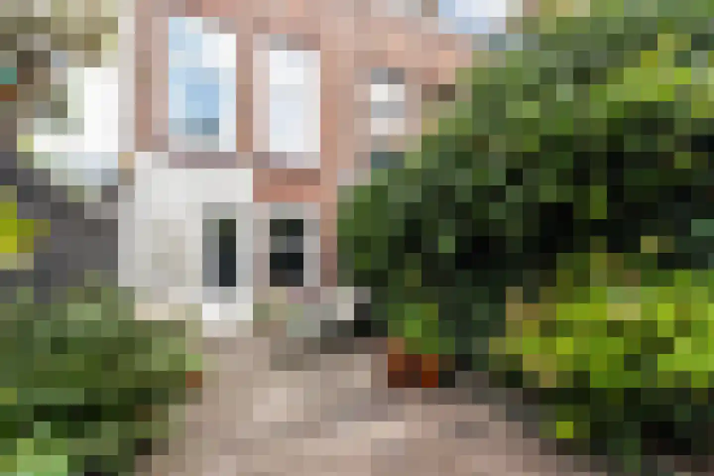 Hoge Bakstraat 10 Dordrecht thumbnail 29