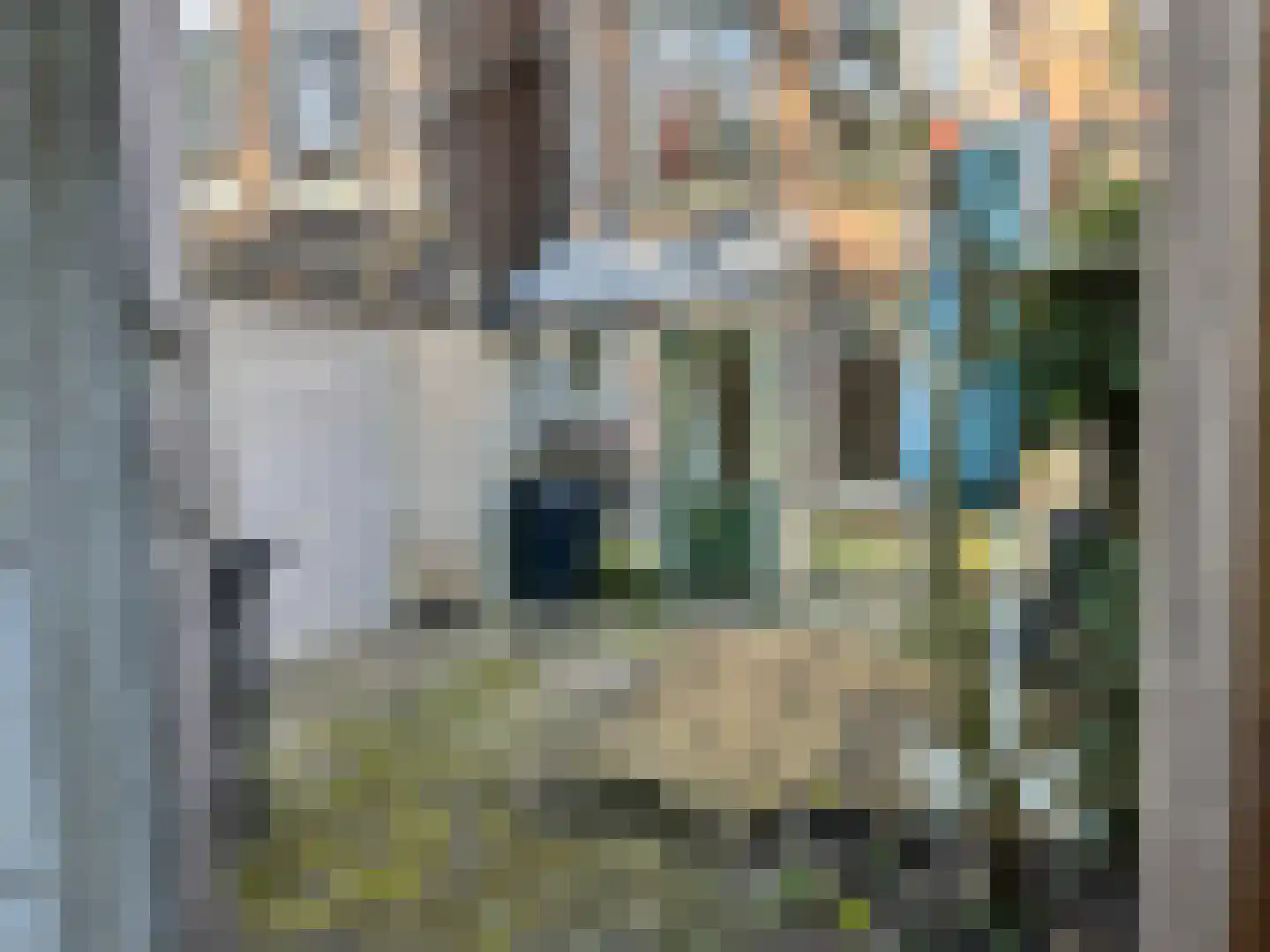 Hoge Bakstraat 22 Dordrecht thumbnail 28