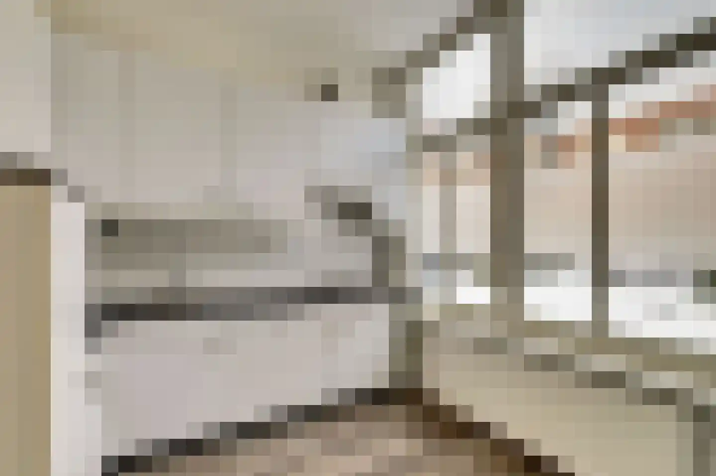 Hoge Bakstraat 22 Dordrecht thumbnail 7