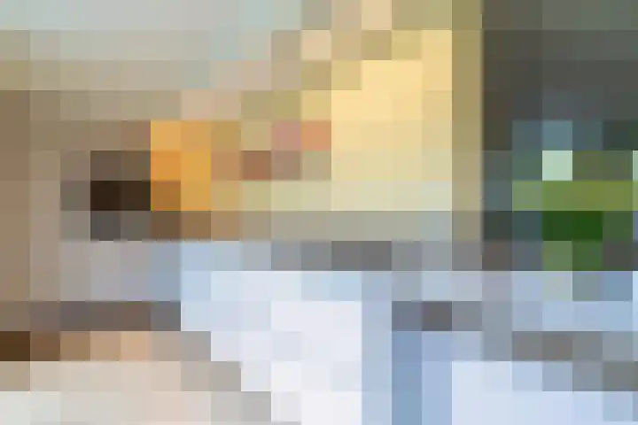 Hoge Barakken 20 Maastricht thumbnail 11