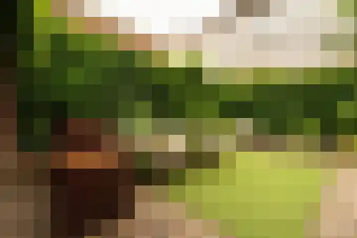 Hoge Barakken 20 Maastricht thumbnail 13