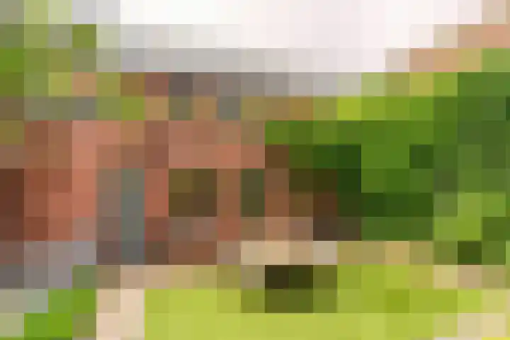 Hoge Barakken 20 Maastricht thumbnail 14