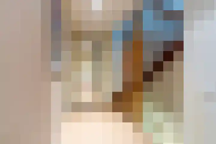 Hoge Barakken 20 Maastricht thumbnail 18