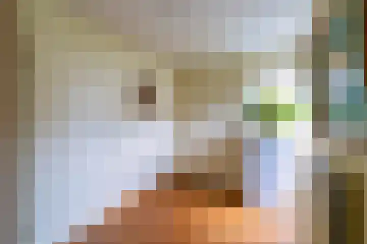 Hoge Barakken 20 Maastricht thumbnail 19