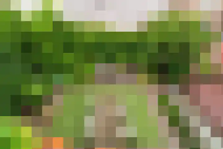 Hoge Barakken 20 Maastricht thumbnail 21