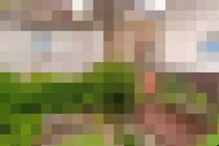 Hoge Barakken 20 Maastricht thumbnail 22