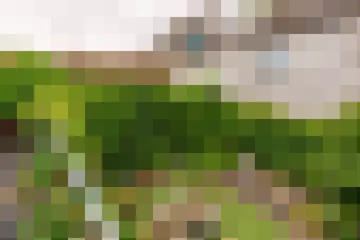 Hoge Barakken 20 Maastricht thumbnail 23
