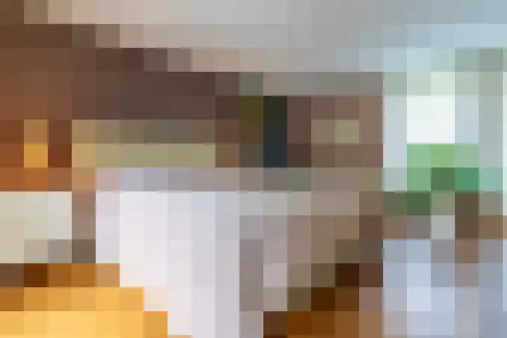 Hoge Barakken 20 Maastricht thumbnail 24