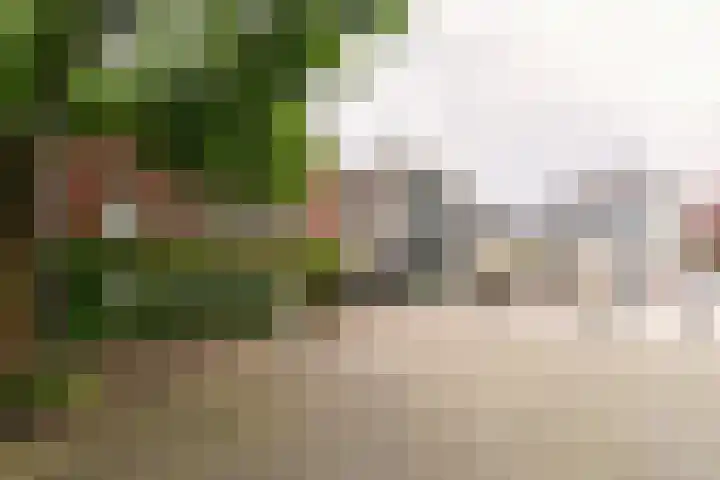 Hoge Barakken 20 Maastricht thumbnail 4