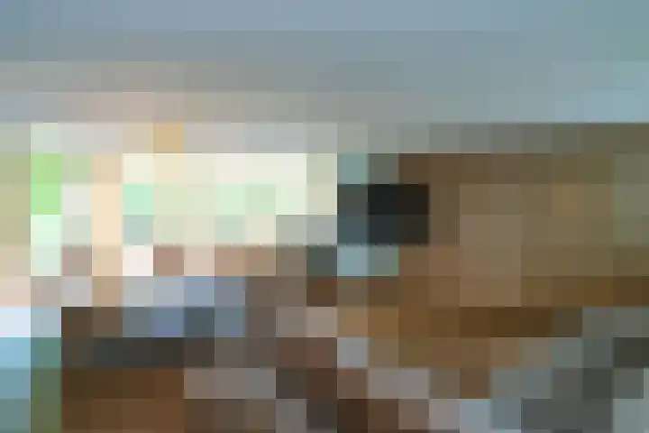 Hoge Barakken 20 Maastricht thumbnail 9