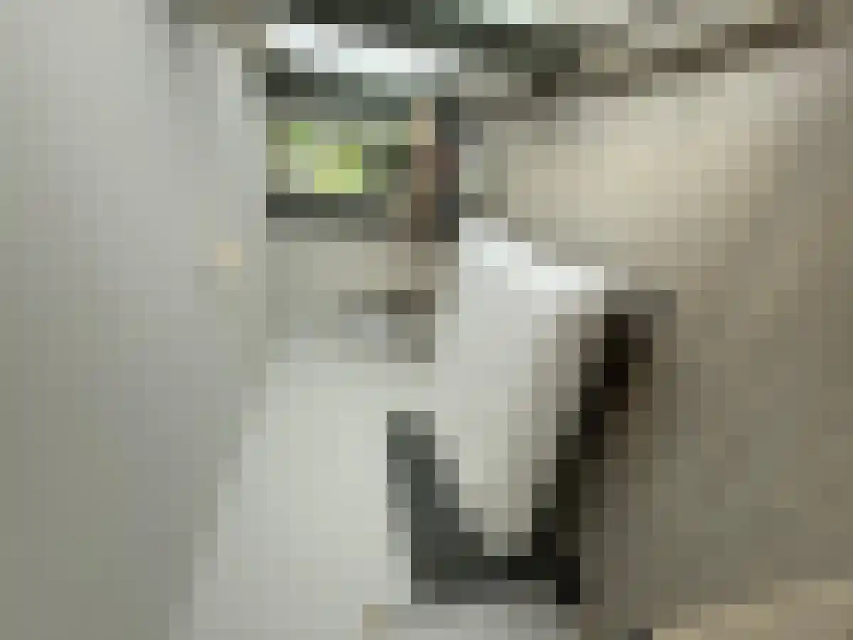 Hoge Barakken 37 Maastricht thumbnail 6
