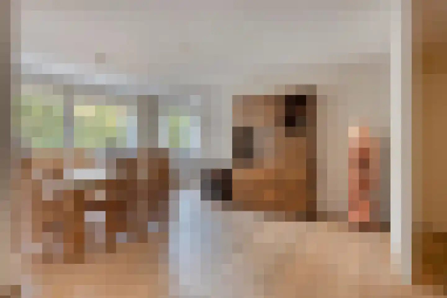 Hoge Barakken 5 C Maastricht thumbnail 12