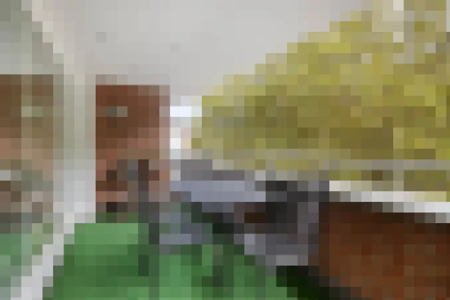 Hoge Barakken 5 C Maastricht thumbnail 22