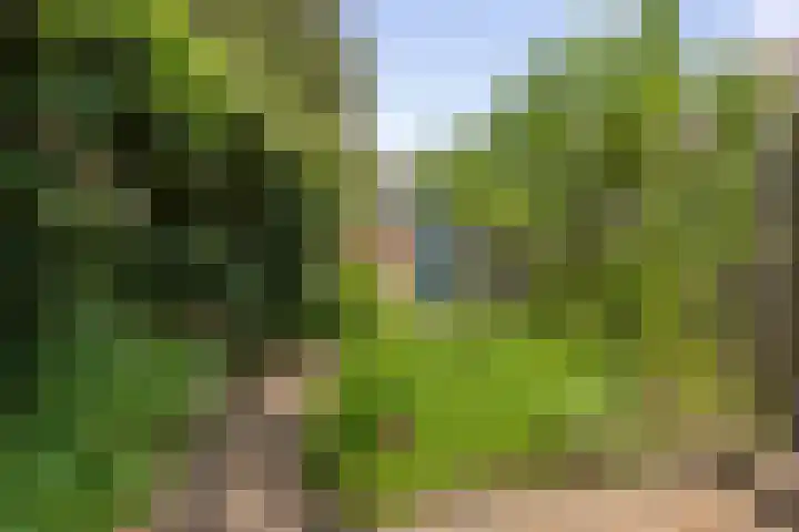 Hoge Belt 15 Deventer thumbnail 11