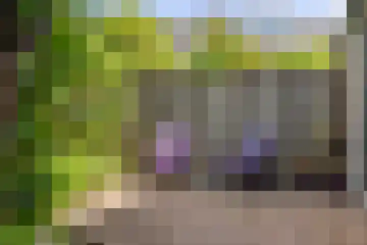 Hoge Belt 15 Deventer thumbnail 12