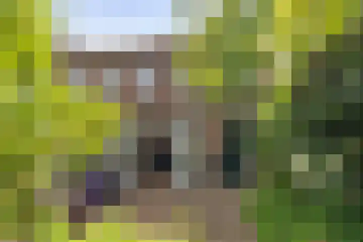 Hoge Belt 15 Deventer thumbnail 13