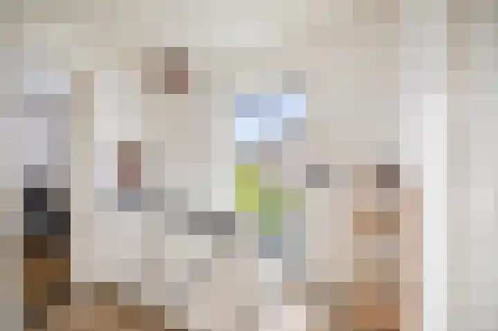 Hoge Belt 15 Deventer thumbnail 17