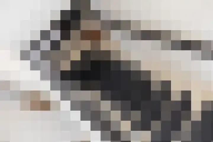 Hoge Belt 15 Deventer thumbnail 18