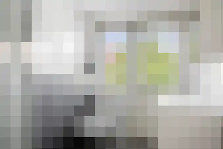 Hoge Belt 15 Deventer thumbnail 21