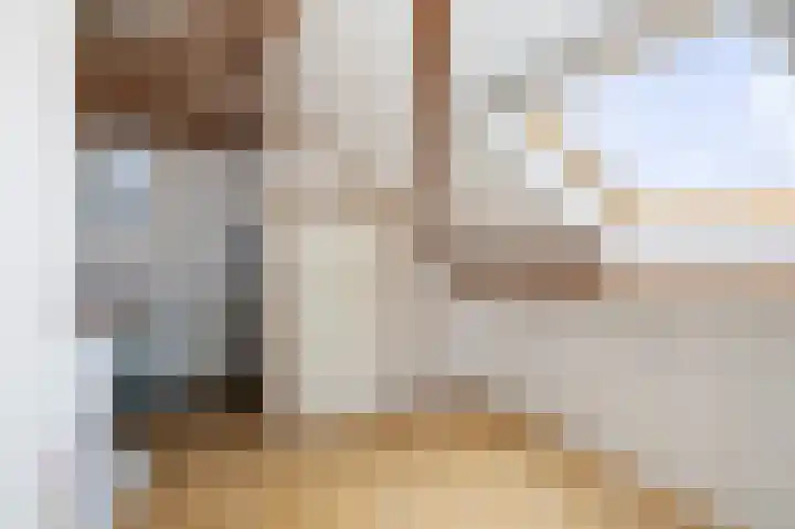 Hoge Belt 15 Deventer thumbnail 25