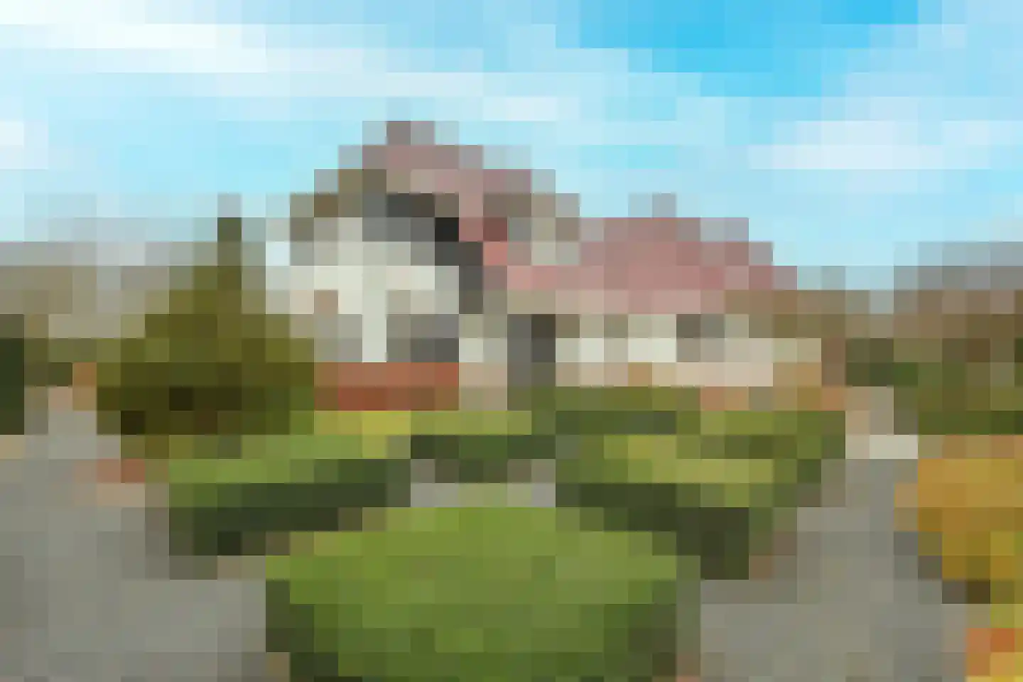 Hoge Bergse Bos 1 in Almere