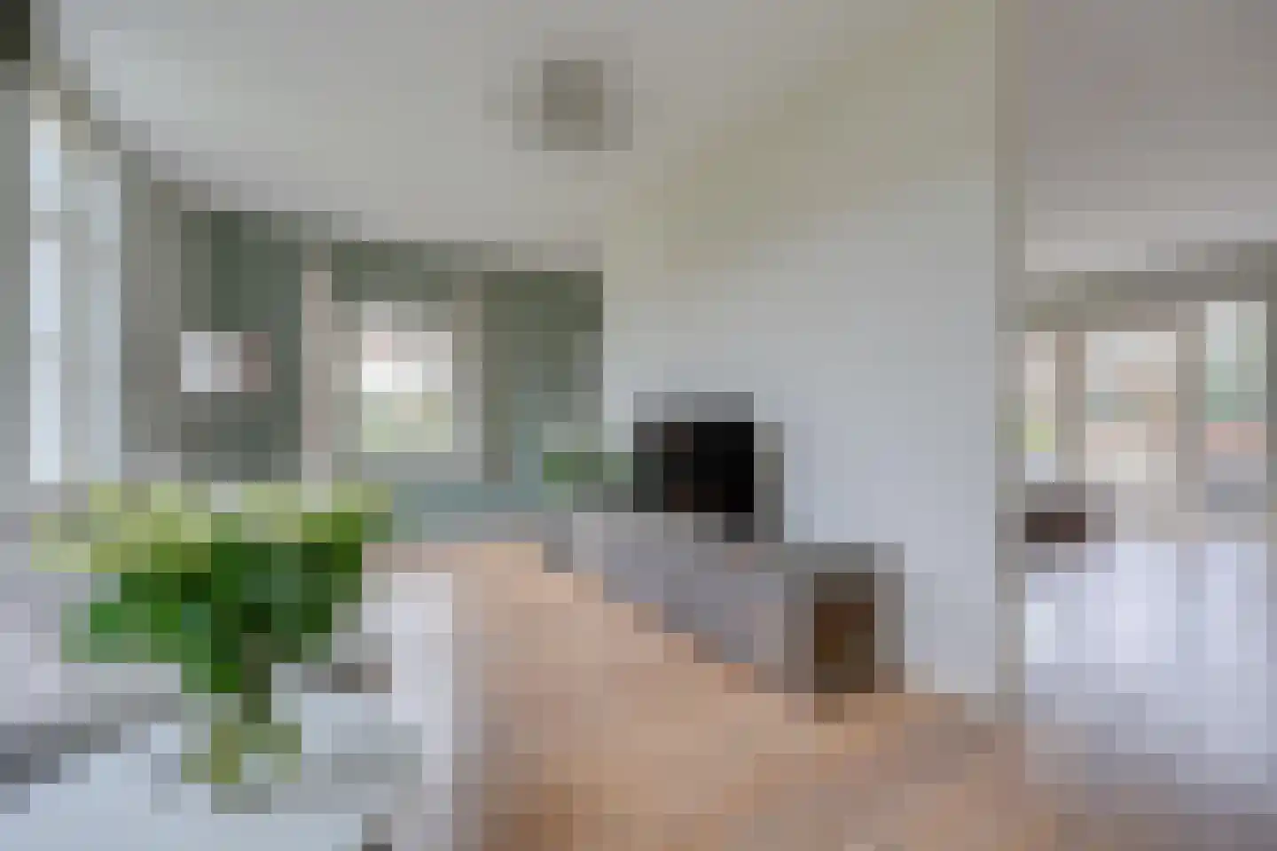 Hoge Bergse Bos 1 Almere thumbnail 11
