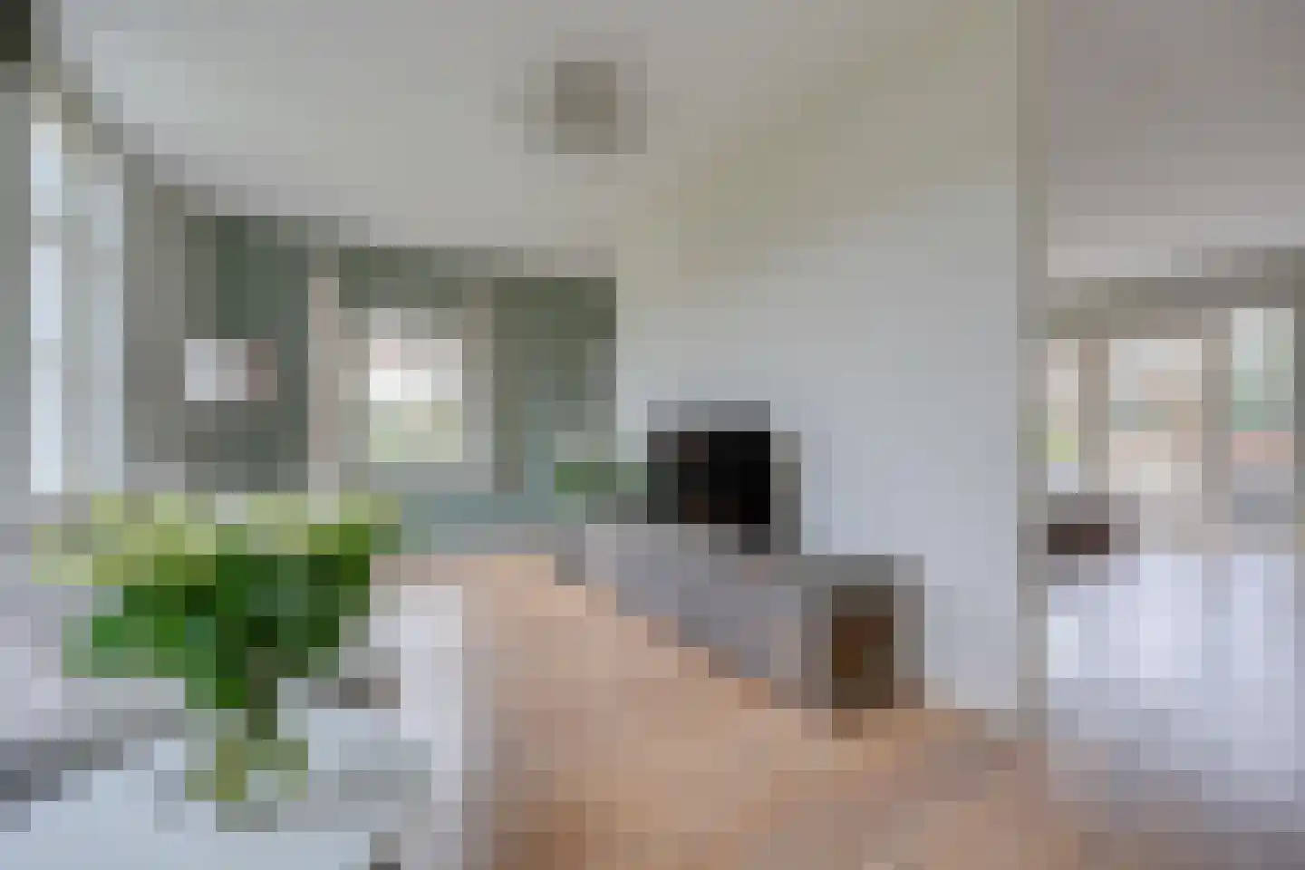 Hoge Bergse Bos 1 Almere thumbnail 12